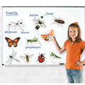 Learning Resources Insecte magnetice mari