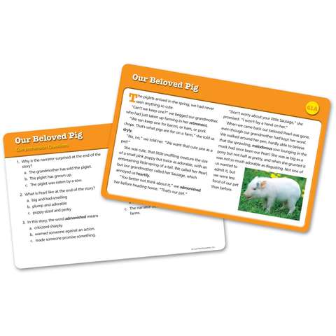 Learning Resources Carduri pentru intelegerea lecturii - set 4