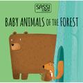 Sassi Eco-Blocks - Animalutele si puii lor