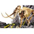 LISCIANI Experimentele micului geniu - Kit paleontologie mamut