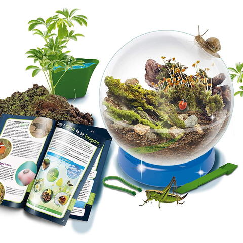 LISCIANI Experimentele micului geniu - Habitate si ecosisteme - RESIGILAT