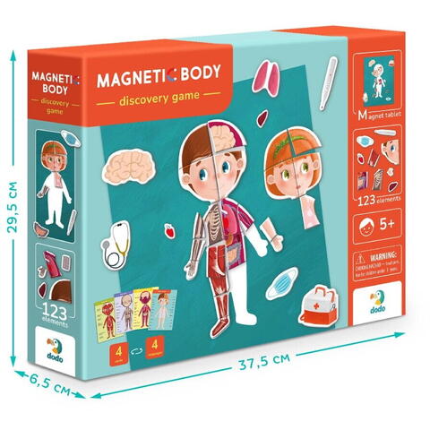 Dodo Joc magnetic - Descopera corpul uman