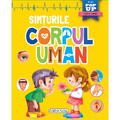 GIRASOL Corpul uman - Simturile