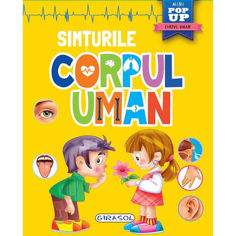 GIRASOL Corpul uman - Simturile
