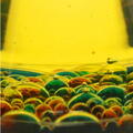 Science Can Super laboratorul experimentelor cu bule