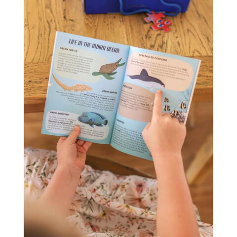 Sassi Cunoaste si exploreaza - Puzzle Mari si oceane (205 piese)