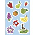 Sassi Carte de activitati cu abtibilduri - In natura