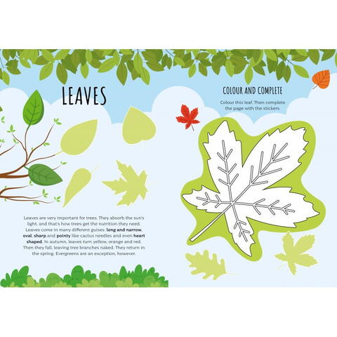 Sassi Carte de activitati cu abtibilduri - In natura