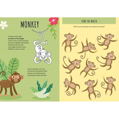 Sassi Carte de activitati cu abtibilduri - Jungla