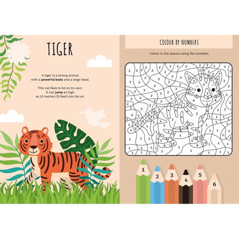 Sassi Carte de activitati cu abtibilduri - Jungla