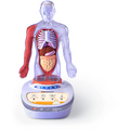 Science Can Descopera corpul uman - Enciclopedie Interactiva STEAM - RESIGILAT